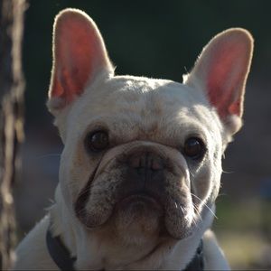 Meet your Posher, Kristin